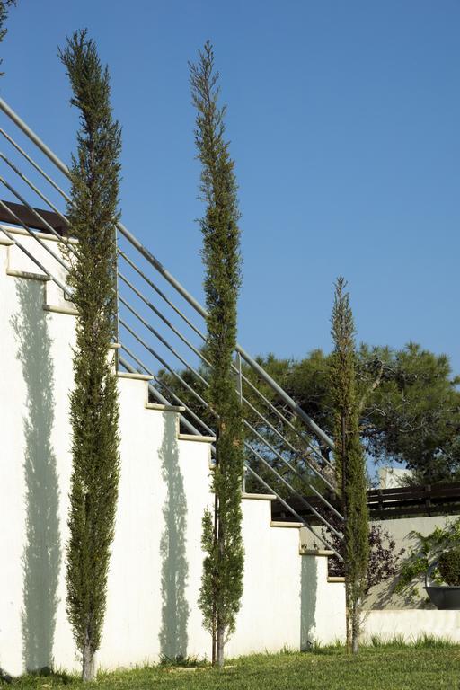 Villa Vikla Pissouri Luaran gambar